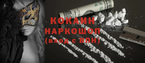тгк Богданович