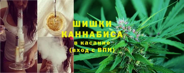 тгк Богданович