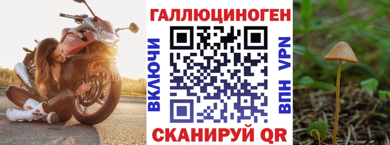 дарнет шоп  Сердобск  Псилоцибиновые грибы мицелий 